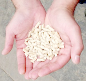 Holzpellets