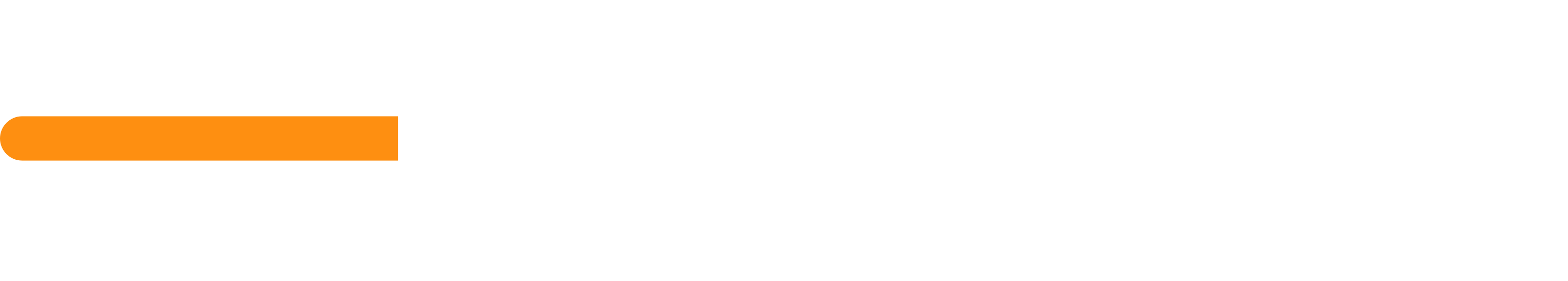 EnBW