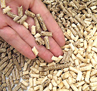 Holzpellet gemischt Holzpellet gemischt