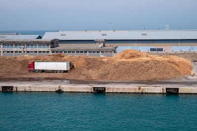 Holzspäne in einem Hafen
