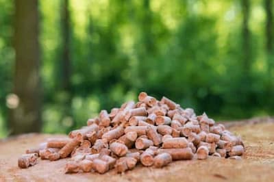 Holzpellets im Wald auf einem Baumstumpf
